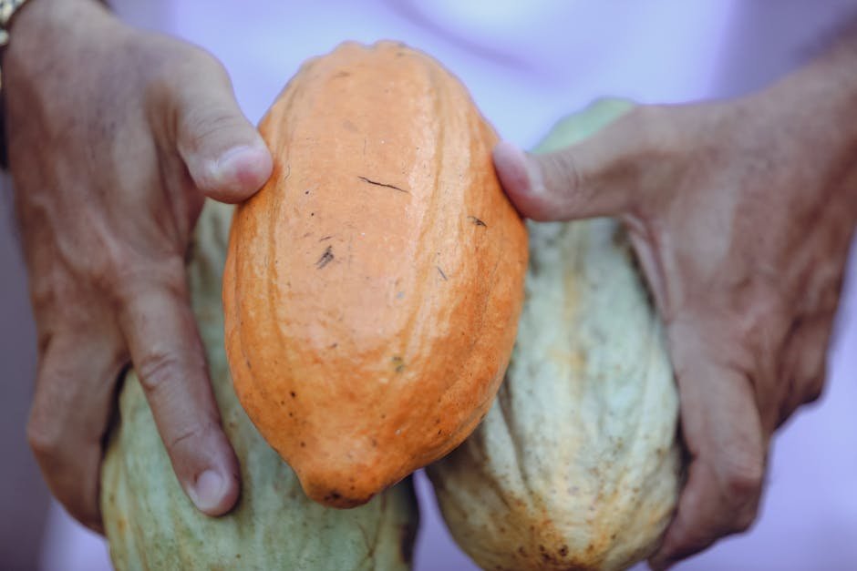 Álcool e Funções Cerebrais: Um Alerta para os Riscos a Longo Prazo