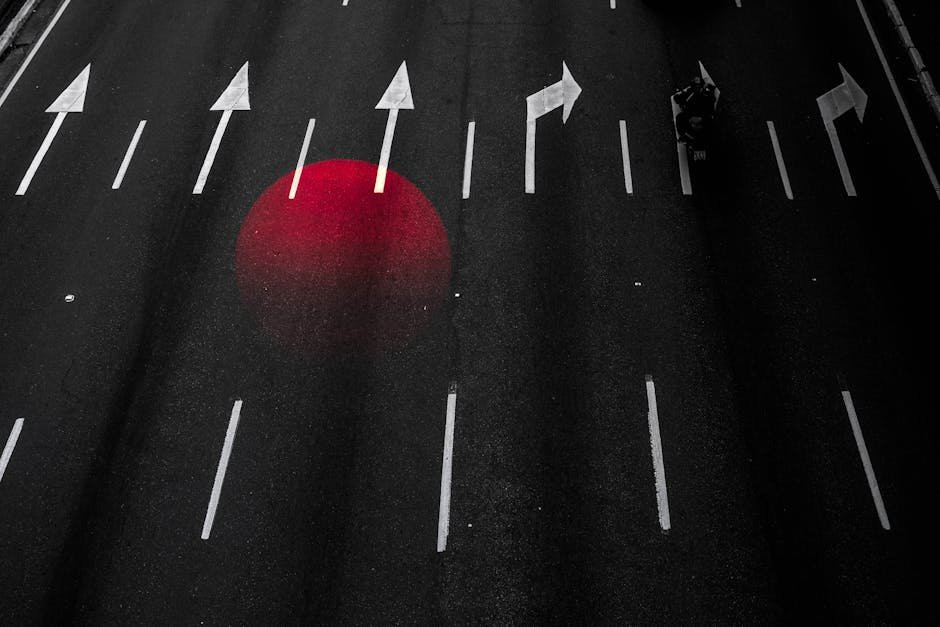 Liberdade e Vida Prime: Caminhos para uma Vida Sem Drogas
