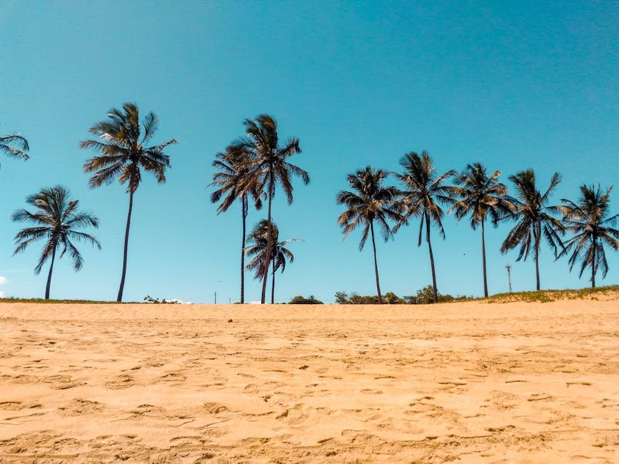 A Primeira Vitória é Pela Sobriedade